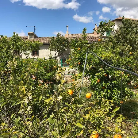 Arancetodamare_poseidone Holiday home
